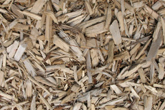 biomass boilers Cardinham
