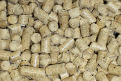 Cardinham biomass boiler costs